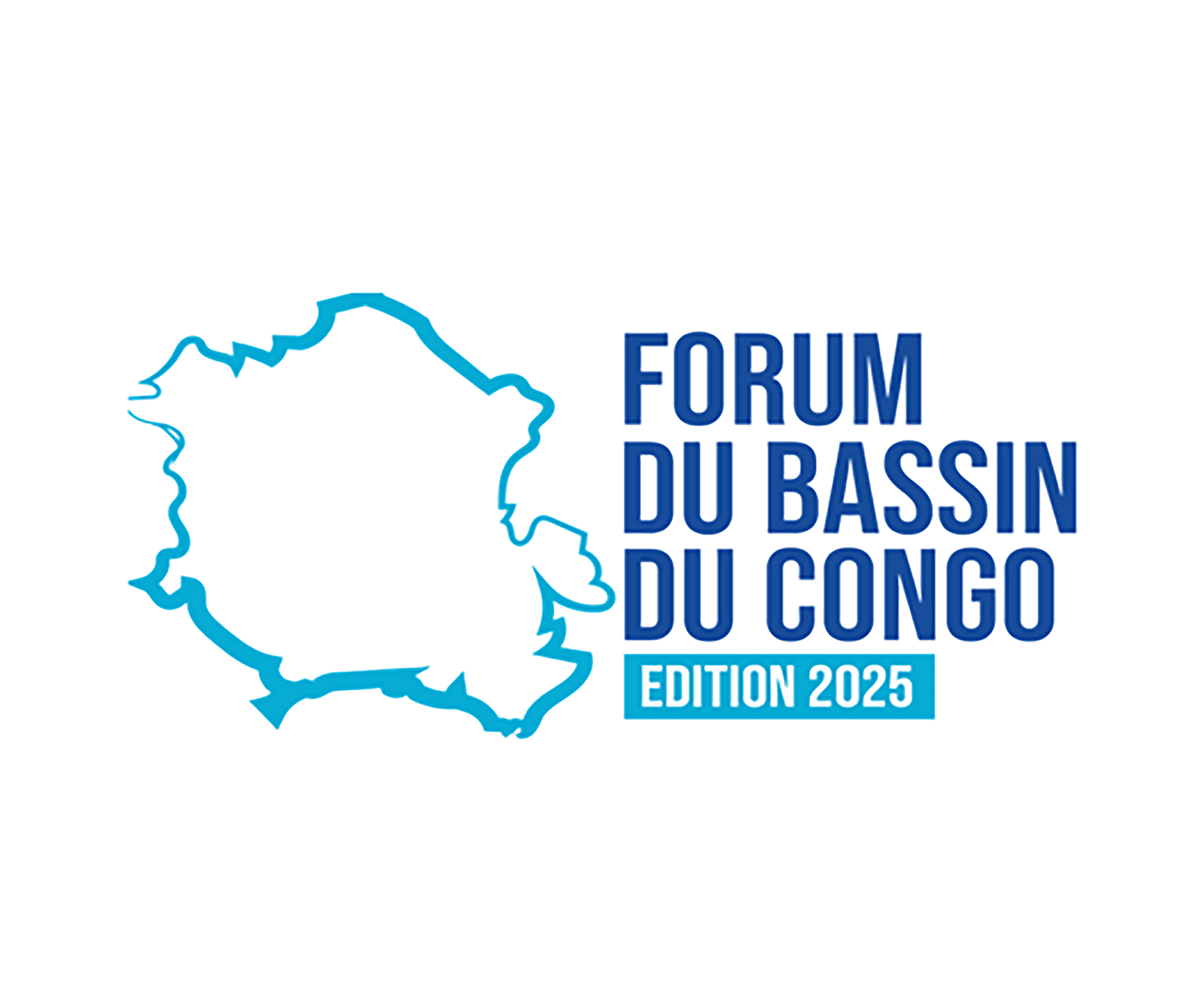 Logo Forum du Bassin du Congo